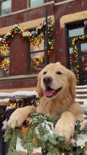 ������ ����!. ������� ���� �������� � ���� ���� �������� �������� ����� ����� (1908 � 1981), ����� ������� ������� (1934 � 2021) � ���������� ����������� � ������� ���� ���� (1974)