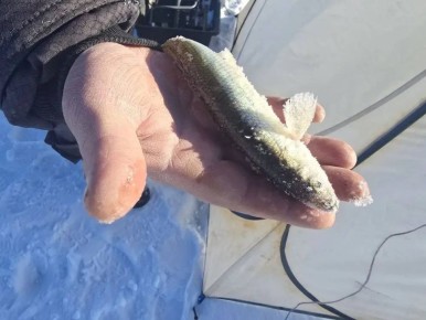 ������� - ������ ����!. �������� �� ������ ������� � ���������� � ������������ ������