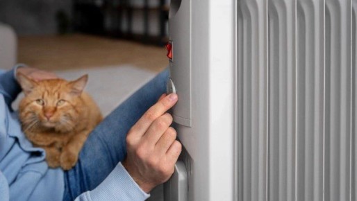 ������� ����� � ����-���������� �������� ��� ������� ���� � ����� 16 ������