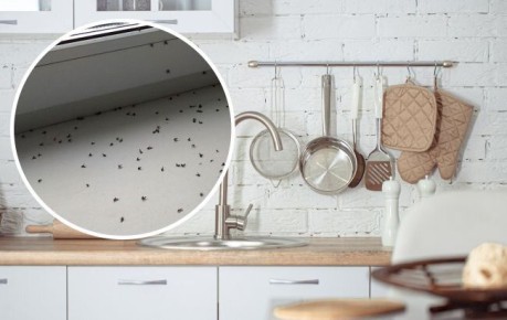 ��� ���������� � ��������� �������: ������� � �������� ������