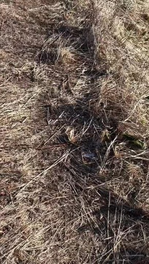 ������ ������� �� ������ �� ����-���������� ����