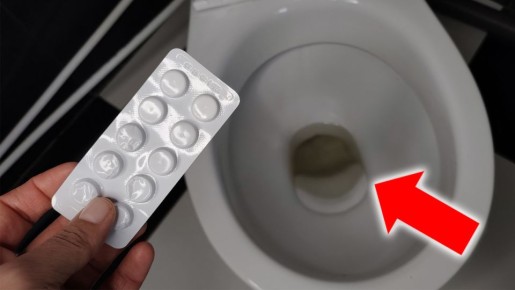 ������������ ������� ������������ �������