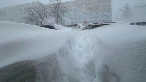 ����� ������� ��� �����������: ������� ����������� ������� �� ��������