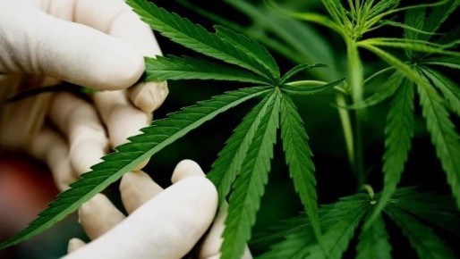 �������� � ���������: �� ��������� ������ ��������� ���� �� ������ �������