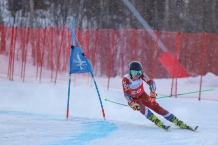 ����������� ������������ ���������� ���������� � ������-�������