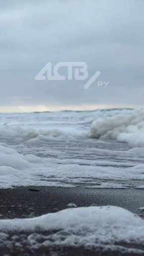 �������� ��-����������: ����������� ��������� � ������� ����