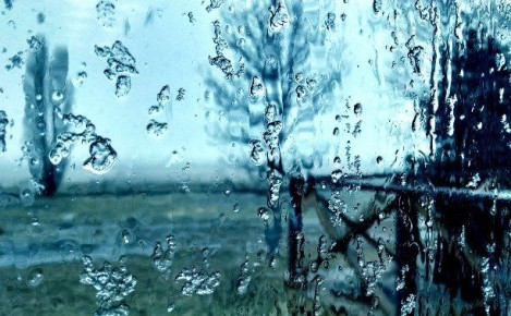 �������������� ���������� ����� �� �� �������� 19 ������