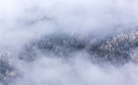 � ��� ������� �������� ��������� ������ � ���