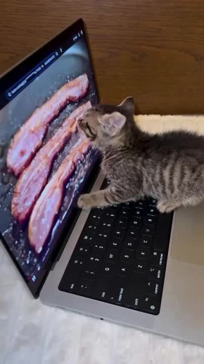 ������ ����. 20 ������ �� ��� ���� �������� ���� ��������� ����