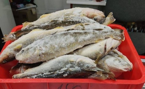 �������, ������ � ������ ������� � ����-����������: ��� ������