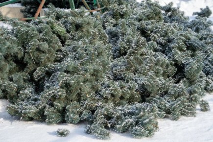 ������ �� ������� ������ � ��