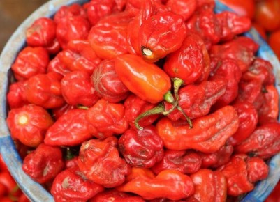 ������� �������� �������� �����: ��� ��������� ������� ������� � ������ ����