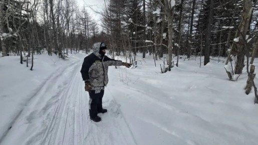 �� �������� ���������� � ������� ����������� ����� ����� ������ ��������