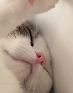 ������ ����. ������� �� ��� ���� �������� ���� �������