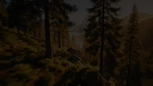 �� �������� ������� ����� ��������� ��������� �������������� �������� � ������ ����������