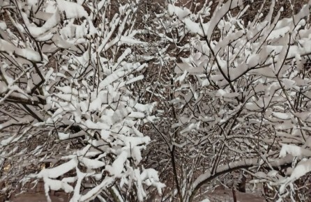 ������ �� ���� � ������