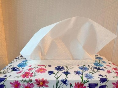 Экологи предупреждают: влажные салфетки не должны смываться в унитаз