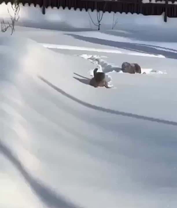 Доброе утро. На Руси 22 января надевали новые, чистые вещи