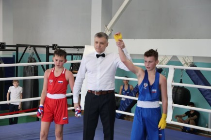 140 сахалинских боксёров разыгрывают медали областного первенства