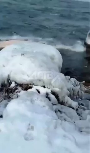 ���� �������� ��������� ��������� �� ����� ������������ ����