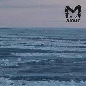 Льдину с рыбаками уносит в Охотское море на Сахалине
