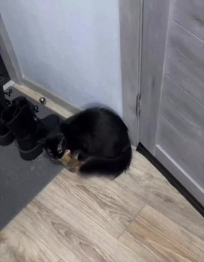 ������ ����. 23 ������ ������� �� ���� �������� ������ ����� � ������� ��� ������ � �������