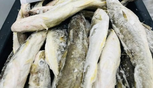 ��� ���� ��������� ����� ���������� � ����-����������: ��� ������