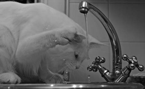 ����� ����-���������� �� ������� ������� ��� �������� ����