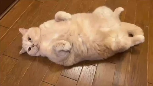 ������ ����. 58 ��� ����� � ���� ��������� �������� � ��������� ������������ ���������� �� ������������ � ������������� ������������ ������������, ������� ���� � ������ �������� ����