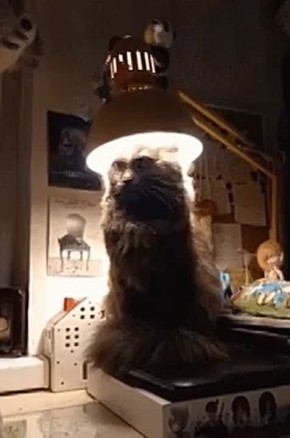 Тысячи сахалинцев останутся без света 28 января