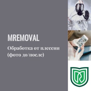 ��� �������� �������: ��������� ���������� ���������� ��������