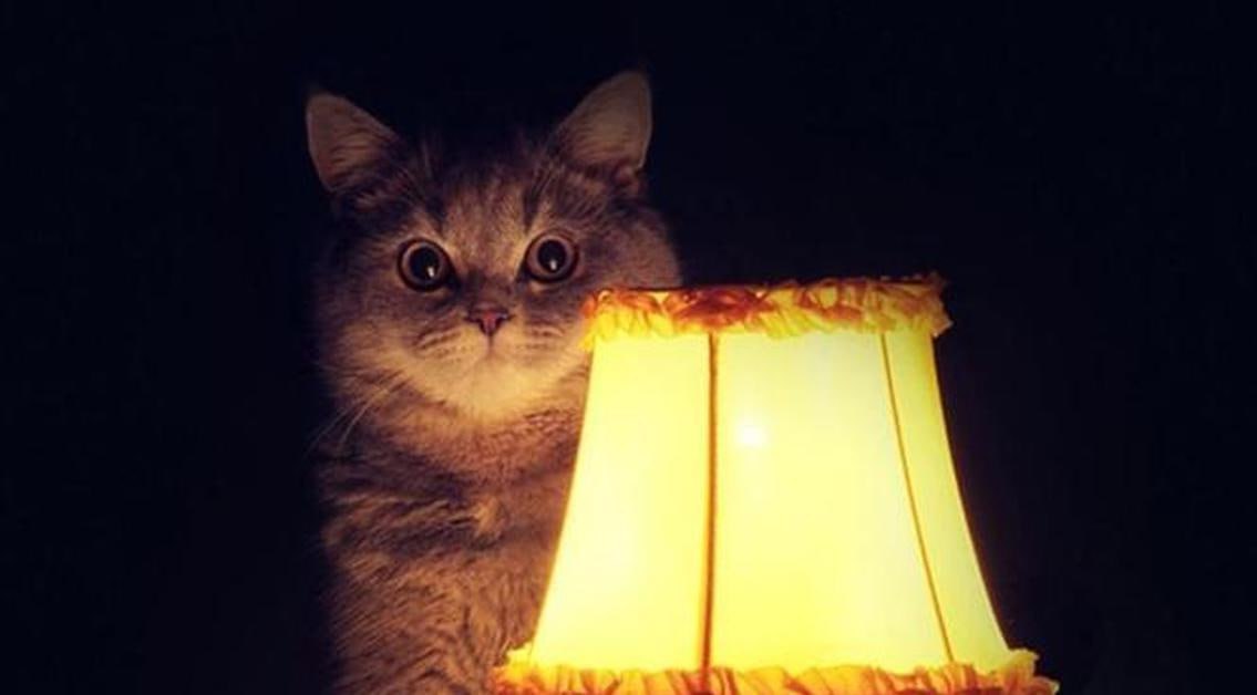 Где на Сахалине не будет света: график отключений на 29 января