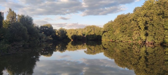 ���� ��� ��������: ��� � ������ ������� ��������� ����� �� ����