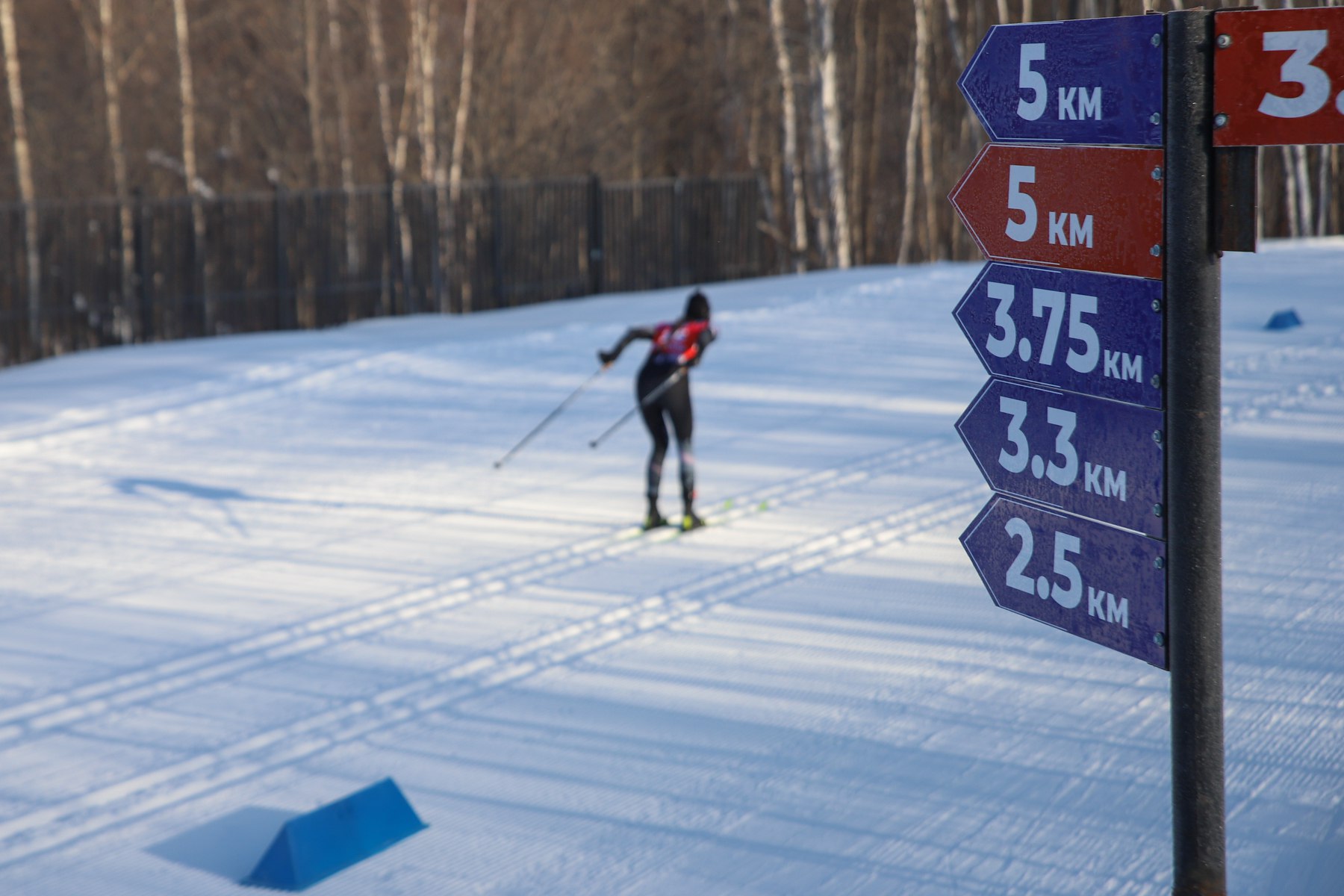 У сахалинских лыжников две медали первого дня ХIII Зимней Спартакиады учащихся России У сахалинских лыжников две медали первого дня ХIII Зимней Спартакиады учащихся России
