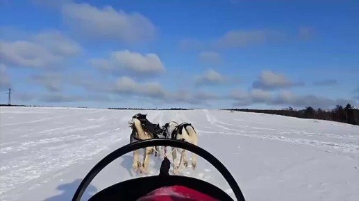 Пробежать тридцать пять километров в день для них - только разминка
