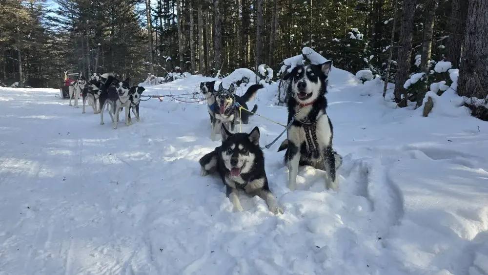 Пробежать тридцать пять километров в день для них - только разминка Пробежать тридцать пять километров в день для них - только разминка