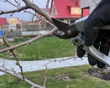 ������ ����� ����������� ������ ����� ��������� ������������ ����� ��������