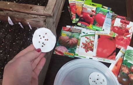 ��� ��� �� ������� � �������� ����� � ��� ��� ����� ���� �������