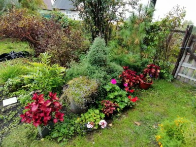 ������������ ������ �� ����: ��� ������� �������� ����� � �������� �������