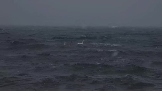 ������ ��������� �� ���������� �������