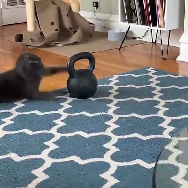 Доброе утро. 29 января на Руси определяли погоду на лето