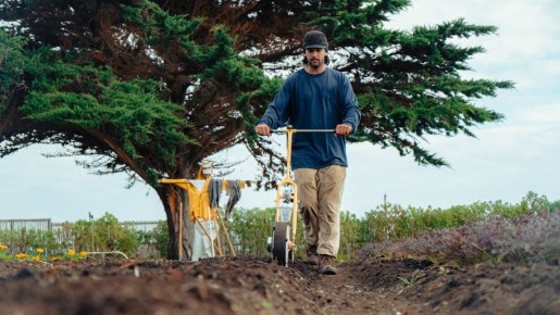 �������� ����� ����� �� ������ ������: ��� ��������� ����� ����� �� ����