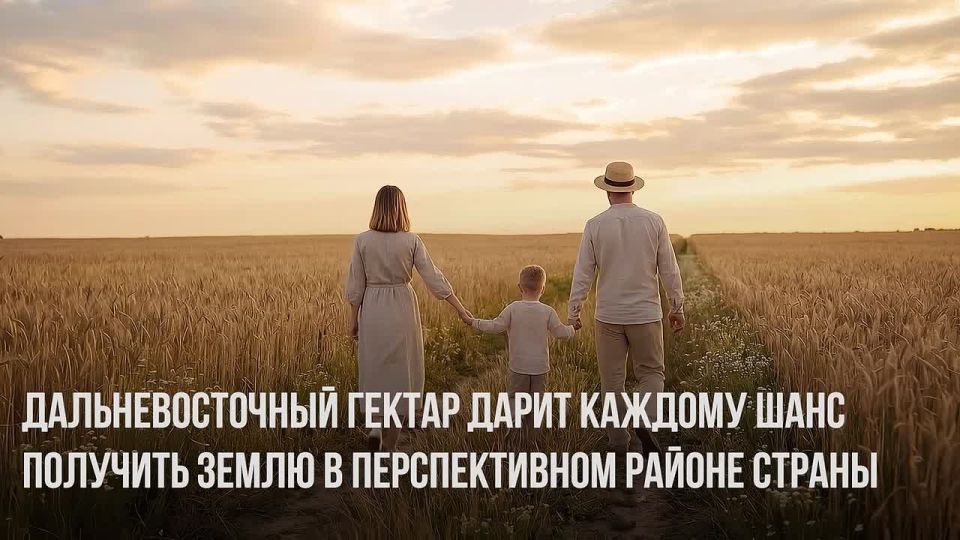 Мечтаете о своей земле? Получите гектар на Дальнем Востоке бесплатно!