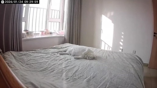 ������ ����. �� ���� � ���� ���� �������� ����� �� �������