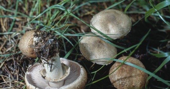 ����� �������: ��� ��������� �������� � �������� �� �������� ��������