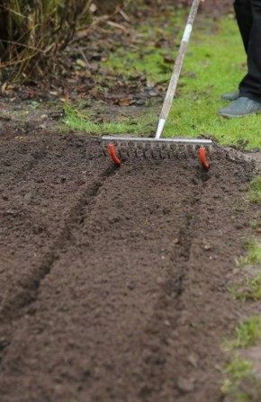 ������ ����� ���������� �� ��������� �������: ��� ������������ �������