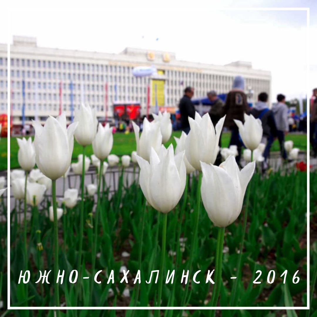 Сергей Надсадин: Одним из самых значимых моментов уходящего января, да и всего 2026 года, безусловно станет открытие студенческого городка нашего университета