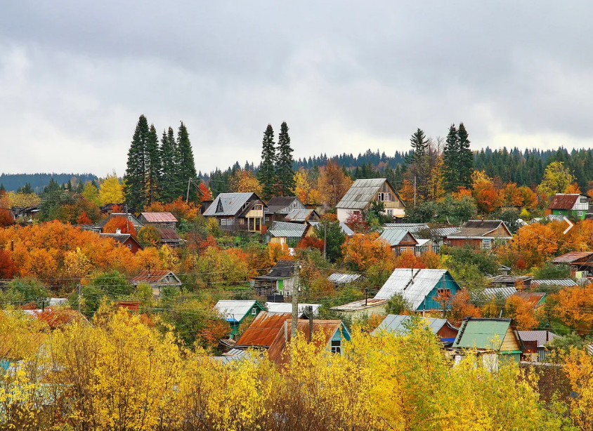 Уход за садом осенью: ответы на главные вопросы садоводов