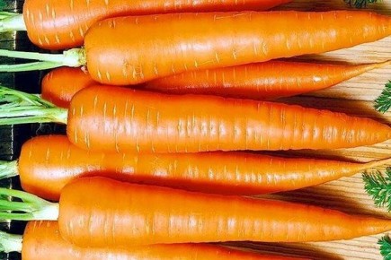 ������ ������� ��������� �������� ��� ������������ � ��������?