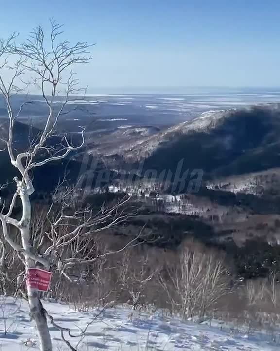 ������������� ����� �������� �� ����������� ����� ��� ��� � ����� � ������� ����� ��������� �� ������ ����